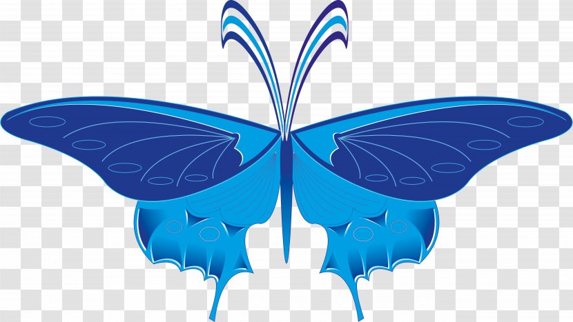 Nymphalidae Butterfly Symmetry Microsoft Azure Clip Art - Invertebrate - Vector Transparent PNG
