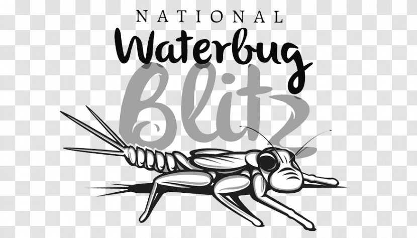 Oriental Cockroach T-shirt Citizen Science The Waterbug Shop - Cartoon - Adwords Badge Transparent PNG