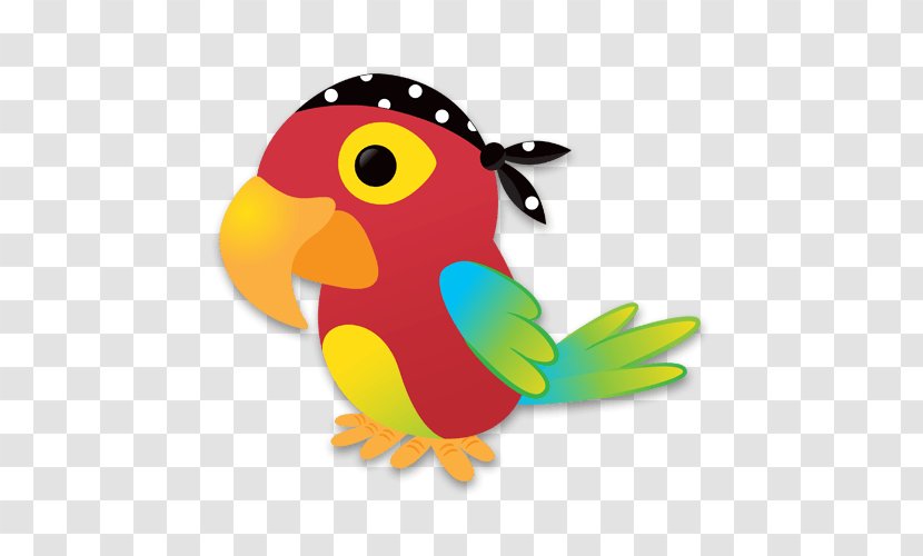 Piracy True Parrot Privateer Early Childhood Education - Feather - Pirate Transparent PNG