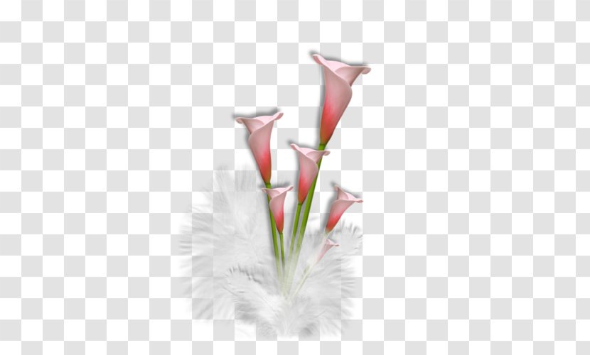 Flower Bouquet Cut Flowers Vase Champagne Transparent PNG