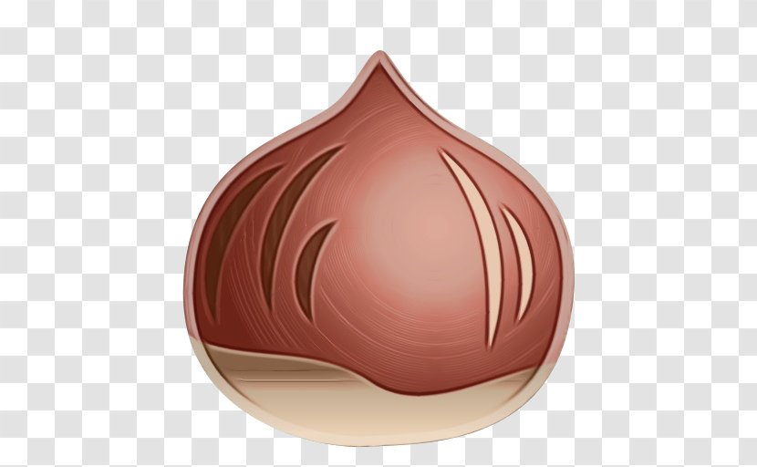 Onion Cartoon - Plant - Allium Transparent PNG