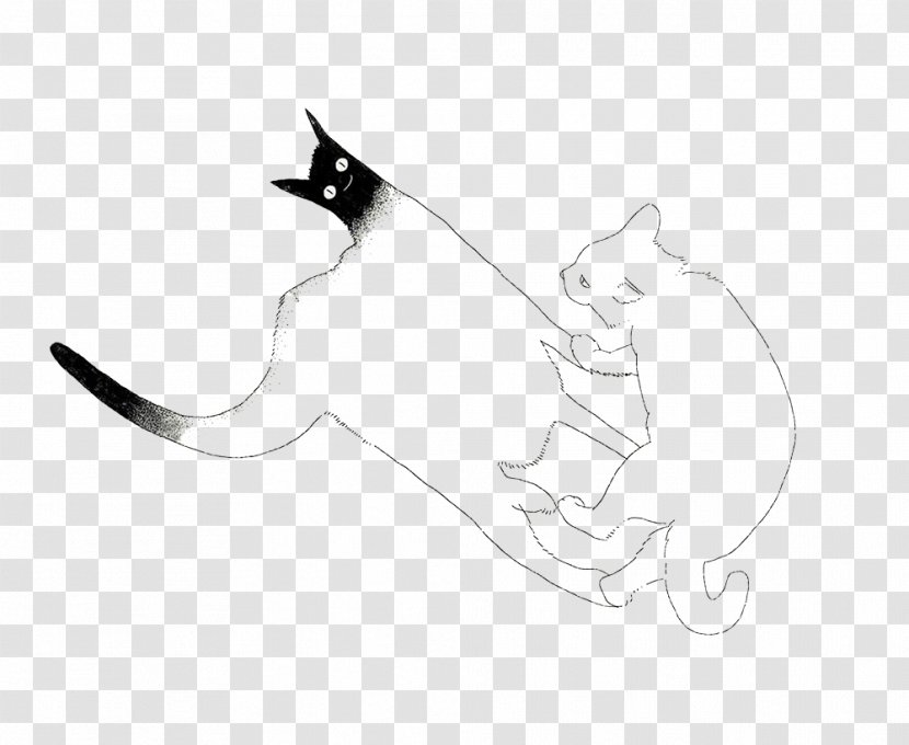 Whiskers Kitten Cat Illustration - Small To Medium Sized Cats - Simple White Transparent PNG