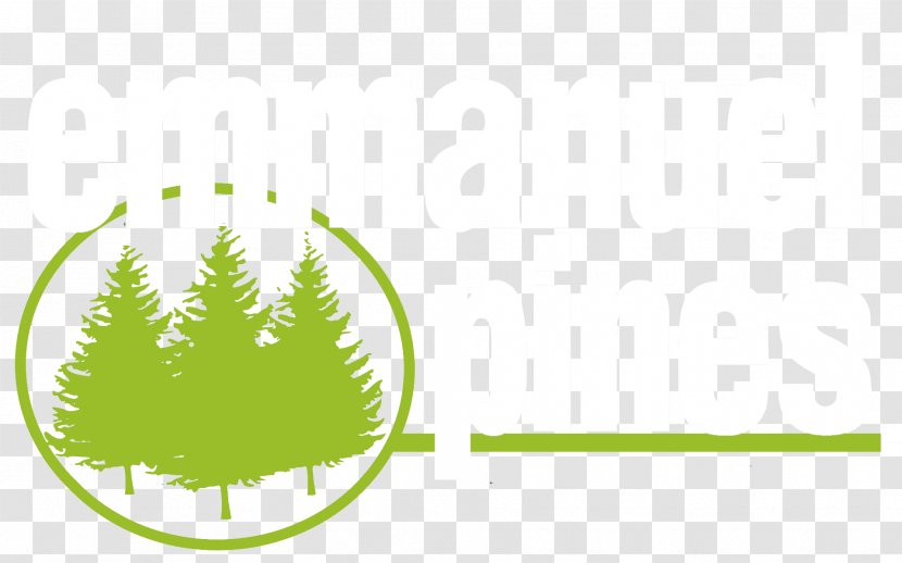T-shirt Shiloh Christian Fellowship Forest Trail 332 Emmanuel Pines Camp & Conference Center Logo - Grass - Pine Needle Transparent PNG
