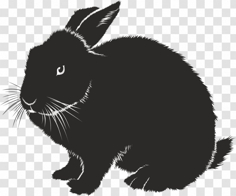Domestic Rabbit Hare Animal European - Fauna Transparent PNG