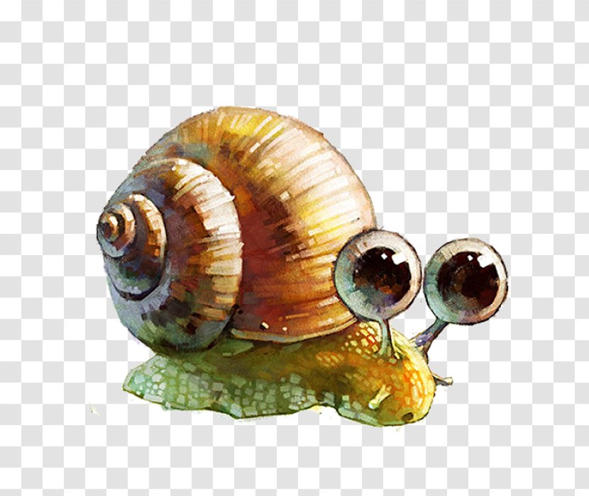 Drawing Watercolor Painting Model Sheet Art Illustration - Hand-painted Snail Transparent PNG