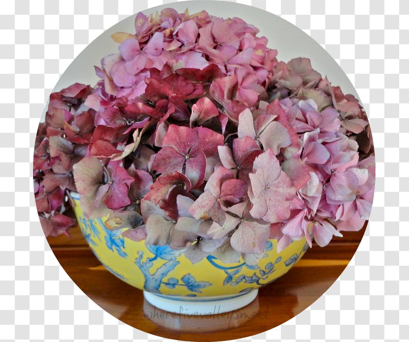 Hydrangea Pink M - Petal - Best Wishes For You Transparent PNG