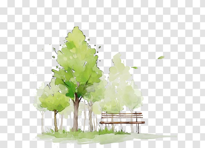 Green Leaf Watercolor - Drawing - Landscape Branch Transparent PNG