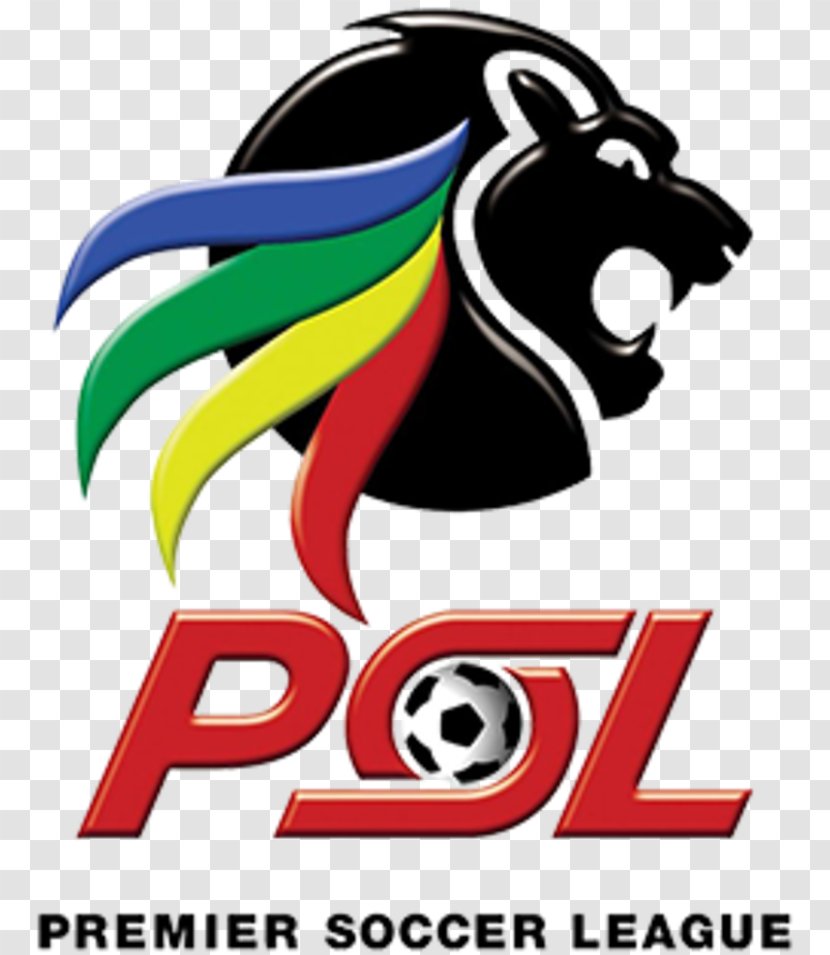 Premier Soccer League Orlando Pirates Bloemfontein Celtic F.C. Cape Town City Ajax - Supersport United Fc - Football Russia Transparent PNG
