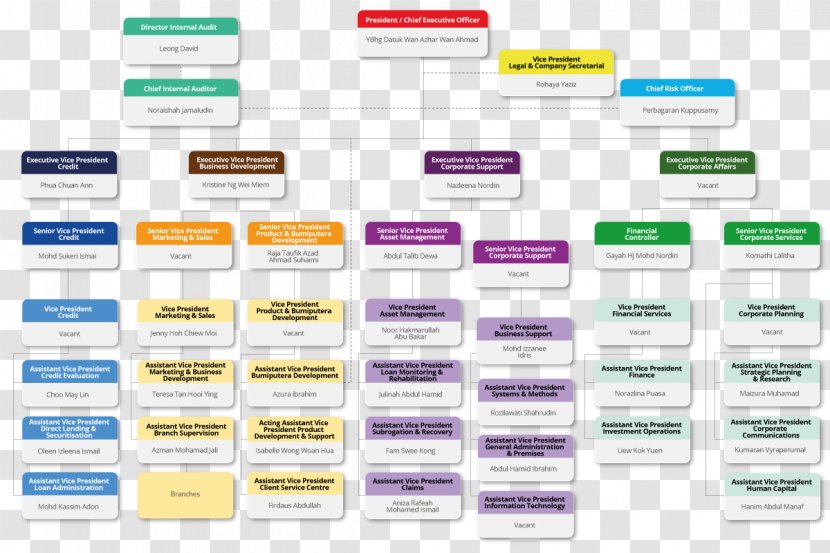 Organizational Chart Corporation Walgreens Business - Web Page Transparent PNG