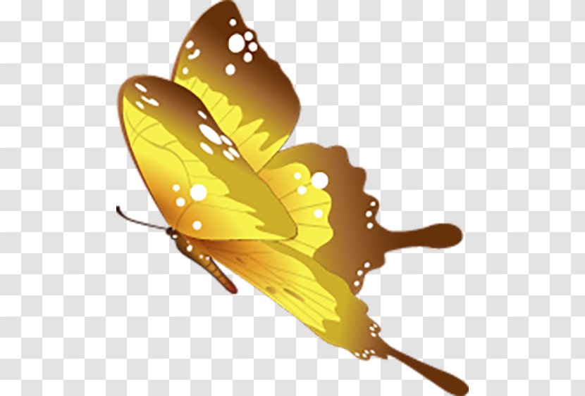 Butterfly Motif - Butterflies And Moths - Beautiful Decoration Fly Transparent PNG