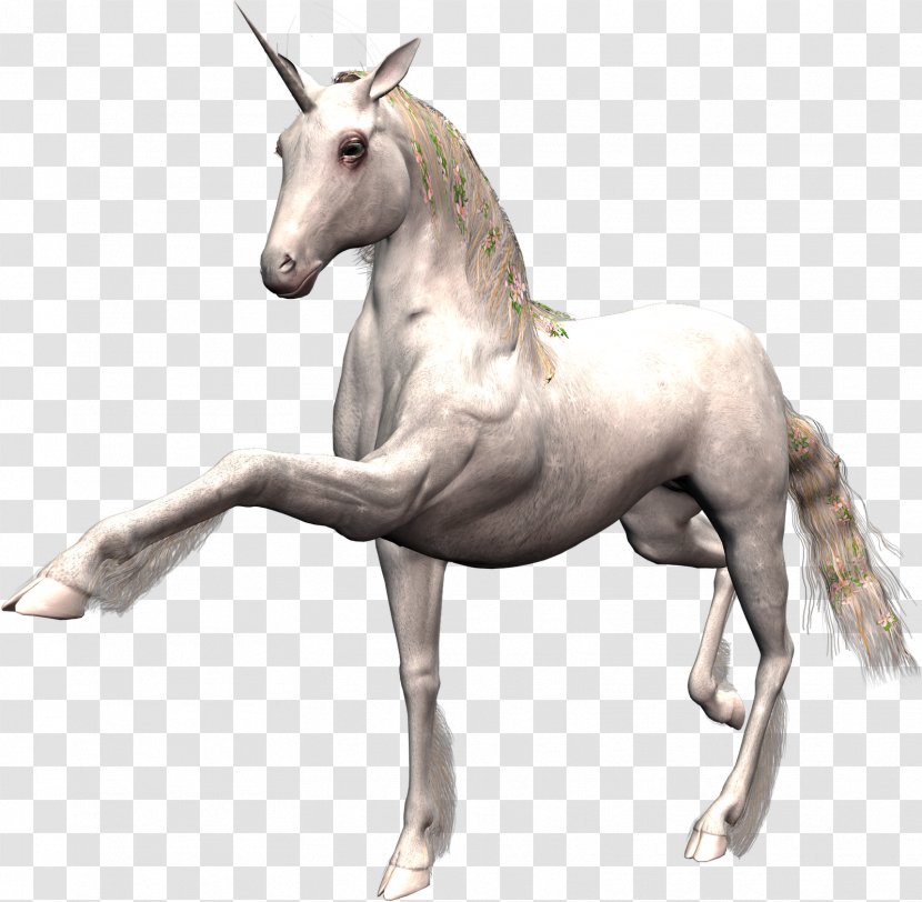 Horse Unicorn Desktop Wallpaper - Pack Animal - Unicornio Transparent PNG