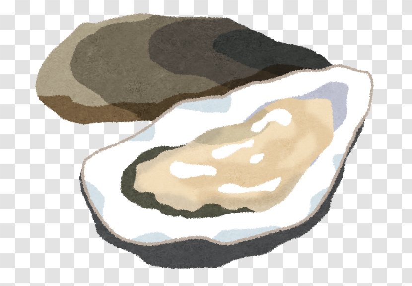 Oyster Venerupis Philippinarum Bivalvia Shellfish Coming - Beige - Pharm Transparent PNG