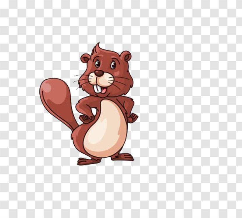 Royalty-free North American Beaver Illustration - Humour - Brown Squirrel Transparent PNG