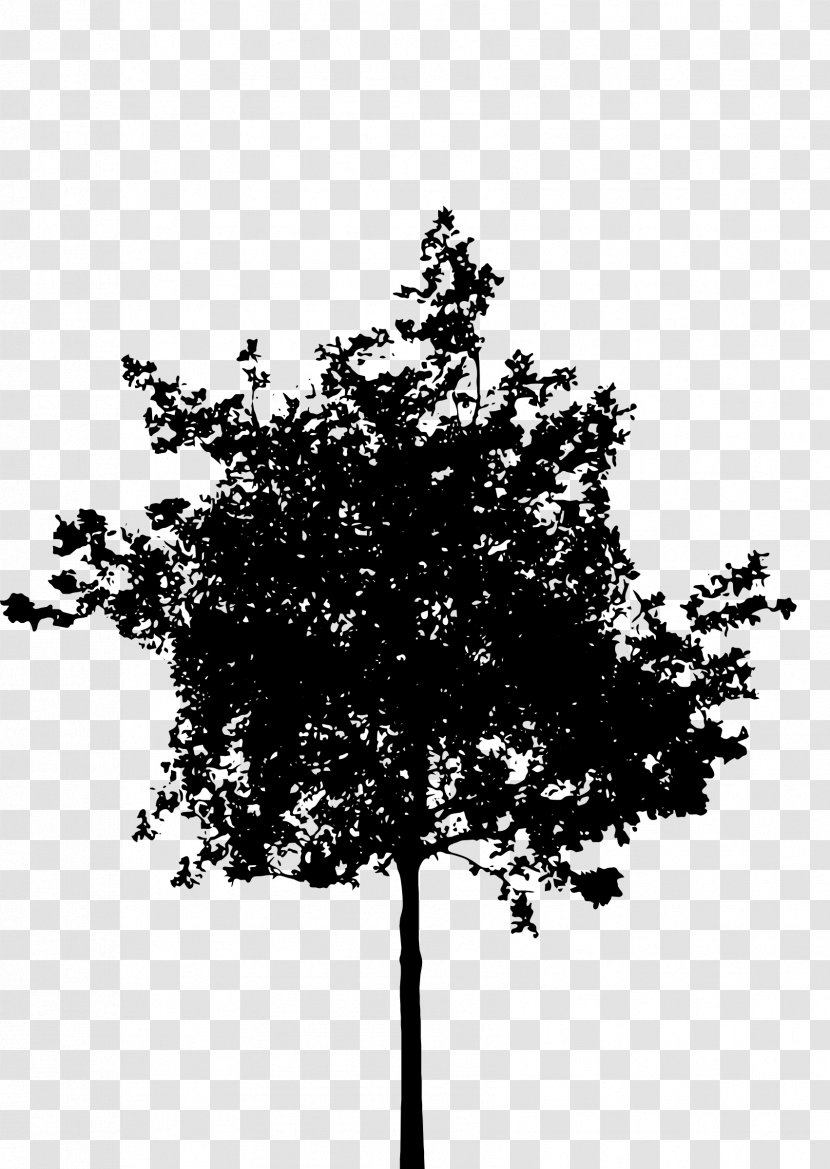 Silhouette Tree Clip Art - Photography Transparent PNG