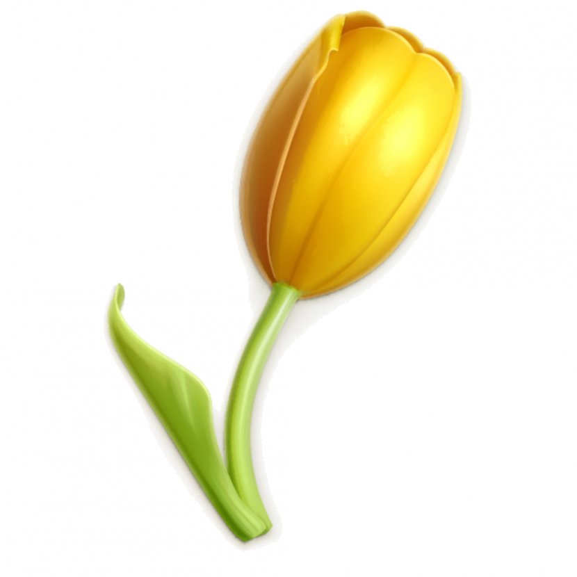 Vector Graphics Illustration Stock Photography Image Yellow - Botany - Flower Transparent PNG