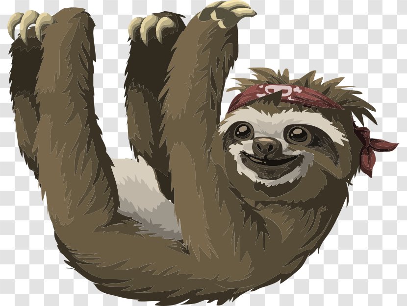 Pygmy Three-toed Sloth Free Content Clip Art - Mammal - Cliparts Transparent PNG