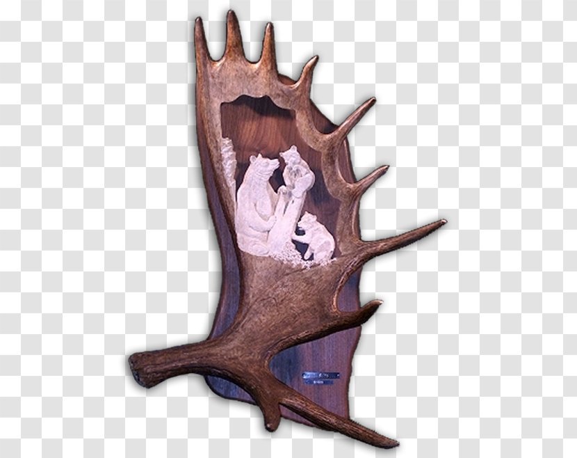 Antler Deer Moose Elk Horn - Eagle Transparent PNG