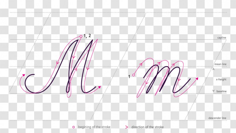 Logo Brand Line Font - Pink - Cursive M Transparent PNG