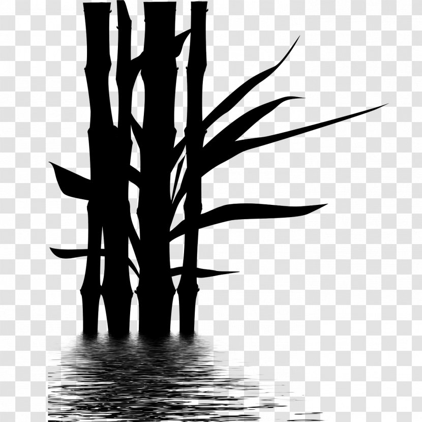 Clip Art Bamboo Illustration Drawing - Branch - Monochrome Photography Transparent PNG