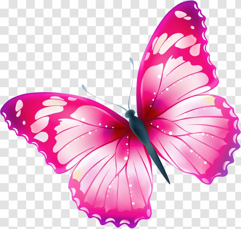 Butterfly Free Greta Oto Clip Art - Wing - Spring Flowers Transparent PNG