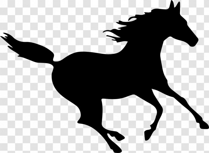 Horse Silhouette - Black And White Transparent PNG