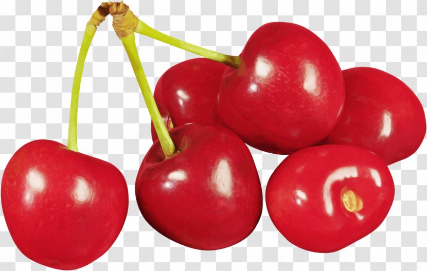 Cherry Fruit Plant Natural Foods Food - Flowering - Superfruit Transparent PNG