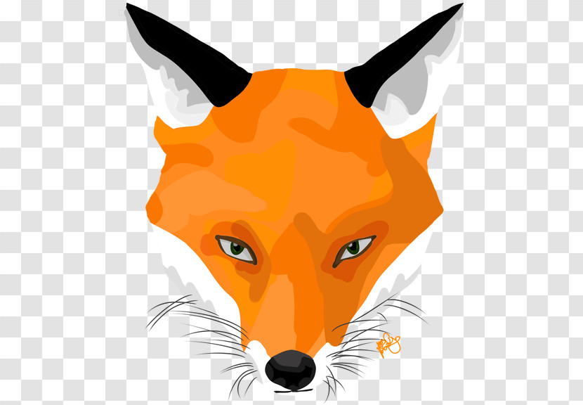Red Fox Fox Head Snout Whiskers Transparent PNG