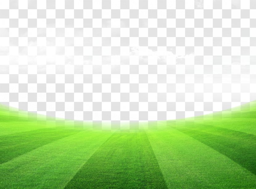 Lawn Meadow Sky Wallpaper - Grass Football Field Transparent PNG