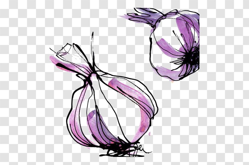 Las Pedroxf1eras Garlic Drawing Transparent PNG