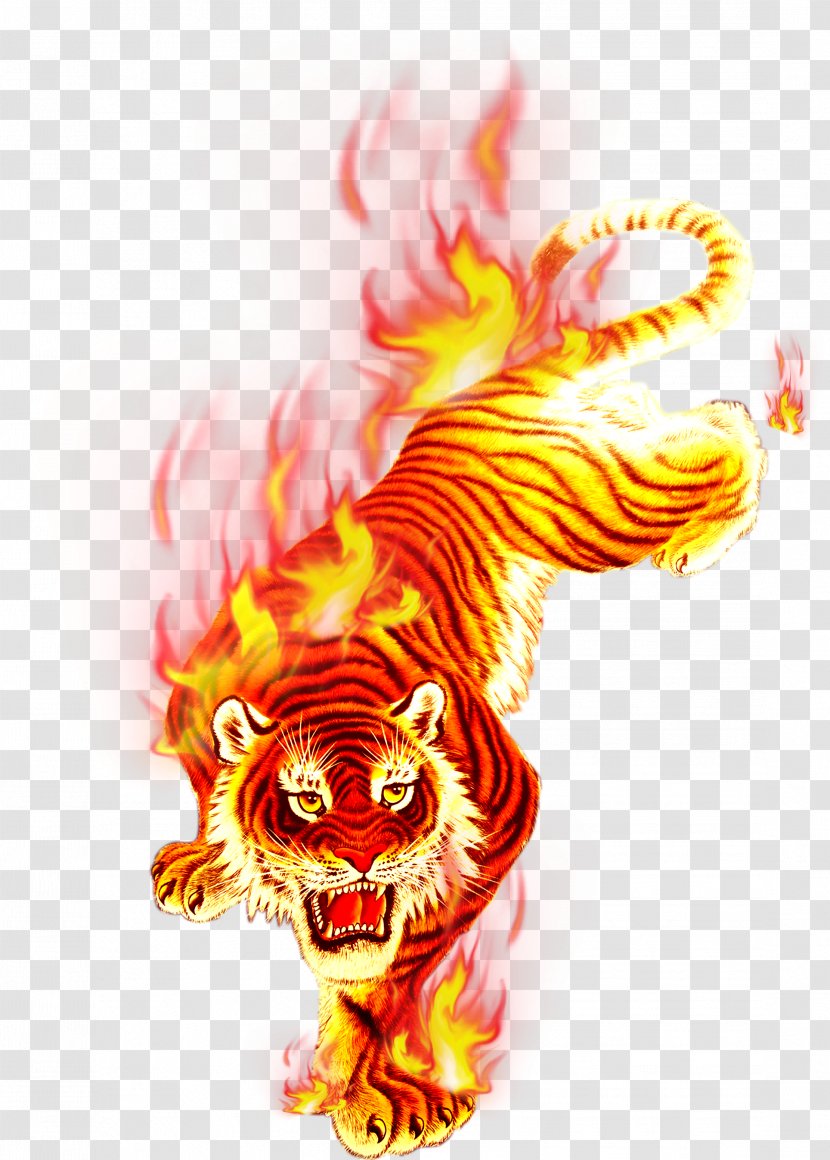 T-shirt Fire Flame - Charcoal Tiger Festival Transparent PNG