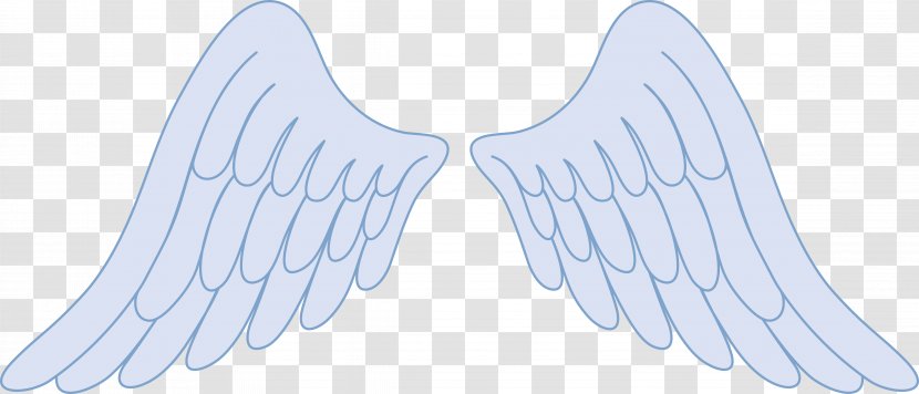 Cherub Angel Drawing Clip Art - Wings Transparent PNG