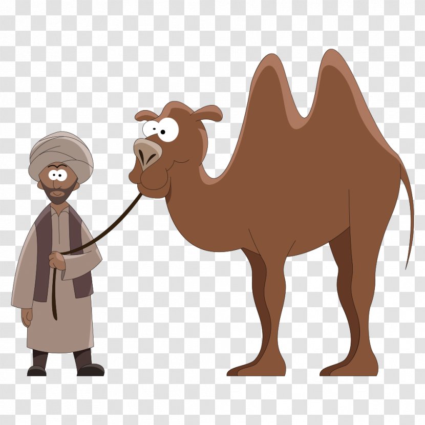 Dromedary Cartoon Royalty-free Clip Art - Camel Like Mammal - Led Vector Man Transparent PNG