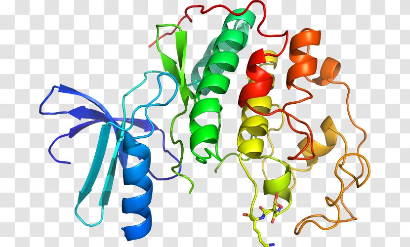 Cyclin-dependent Kinase 2 Protein - Gene - Cyclindependent 1 Transparent PNG