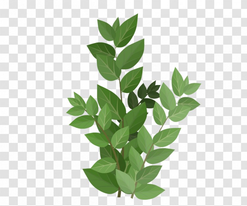 Green Leaf - 儿童节logo Transparent PNG
