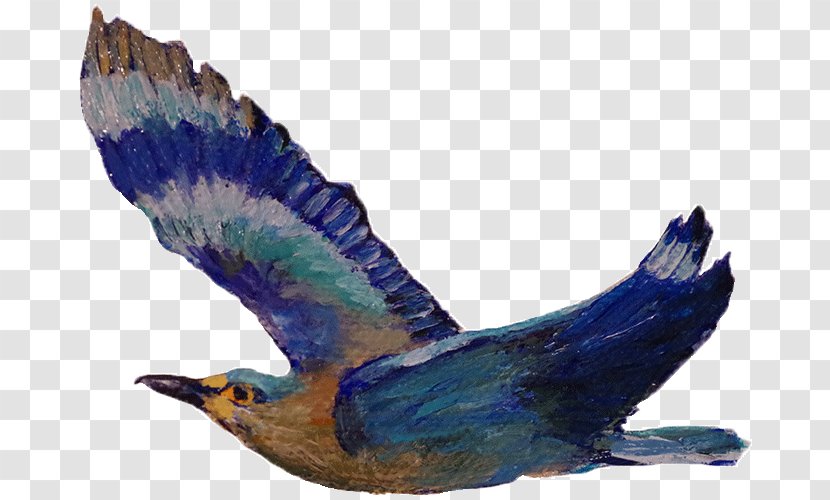 Beak Cobalt Blue Feather Eagle - Wildlife - Indian Roller Transparent PNG
