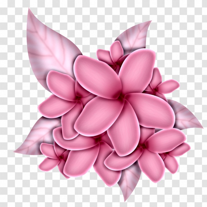 .de .by Drawing .me - Io - Pink Flowers Transparent PNG