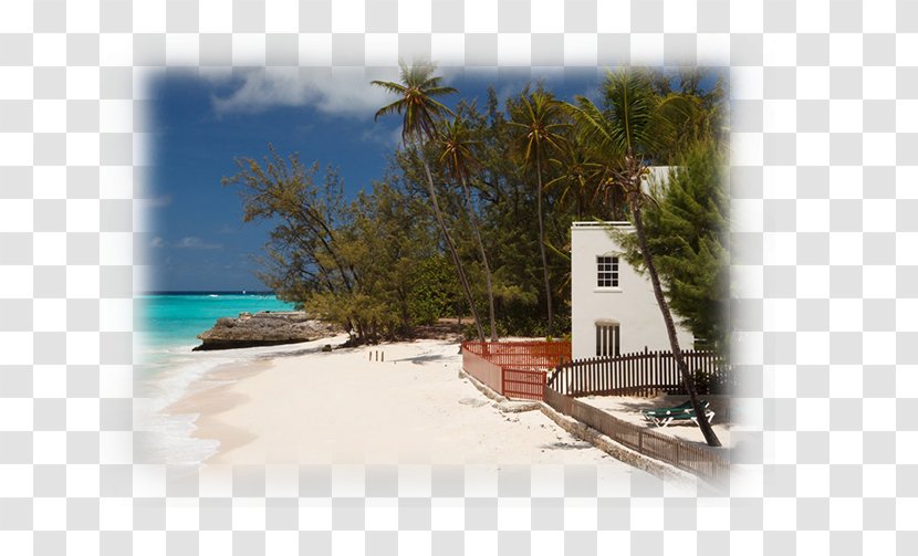 Real Estate Background - Caribbean - Bay Hut Transparent PNG