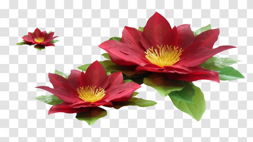 Red Flower - Software - Lotus Transparent PNG