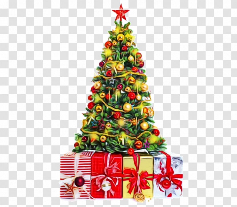 Christmas Tree - Conifer Pine Transparent PNG