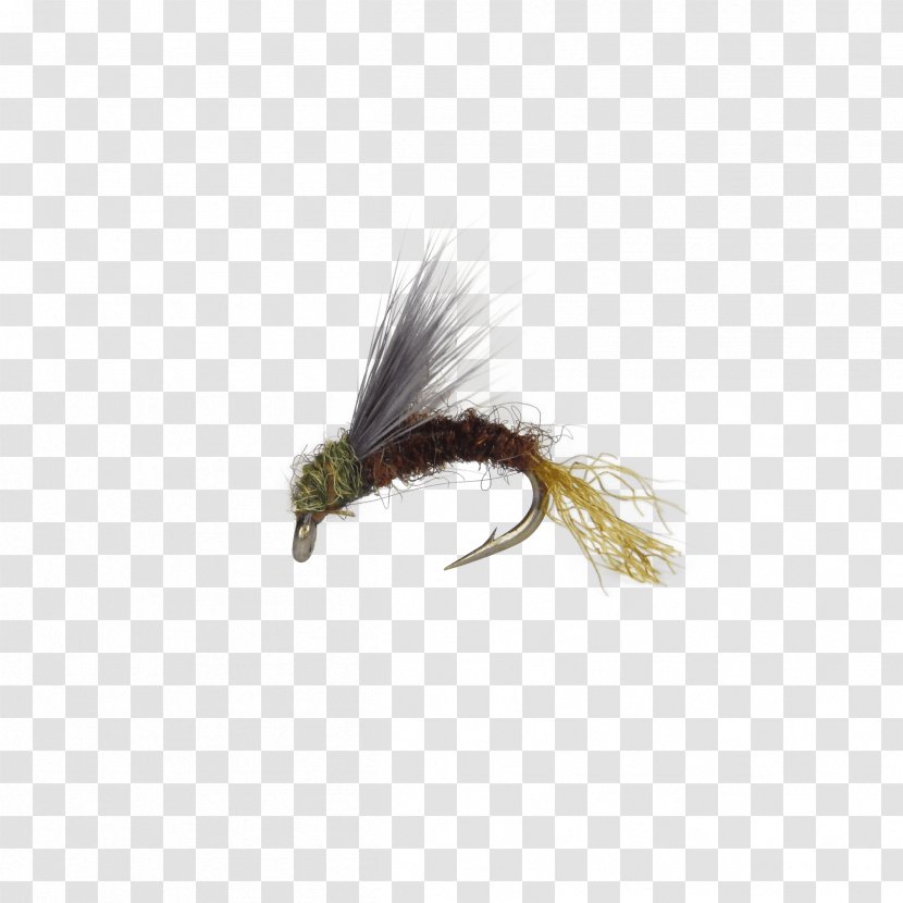 Baetis Insect Fly Fishing Artificial Nymph - Flying Transparent PNG