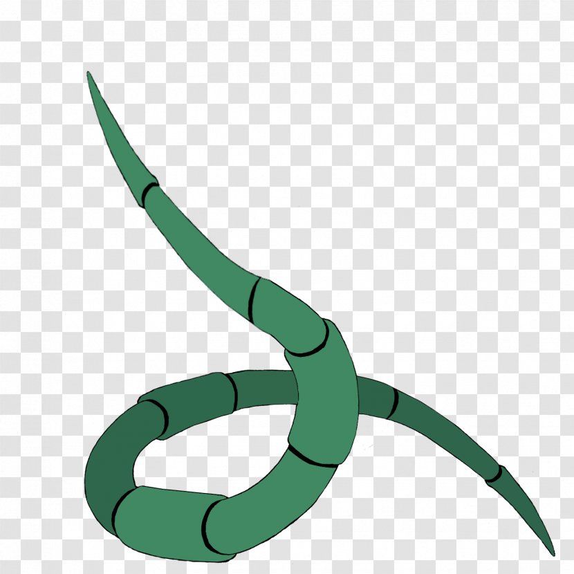 Line Circle Technology - Green - The Hunger Games Transparent PNG