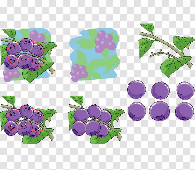 Grape Cartoon Blueberry Illustration - Flowering Plant - Class Of Arbutin Material Transparent PNG