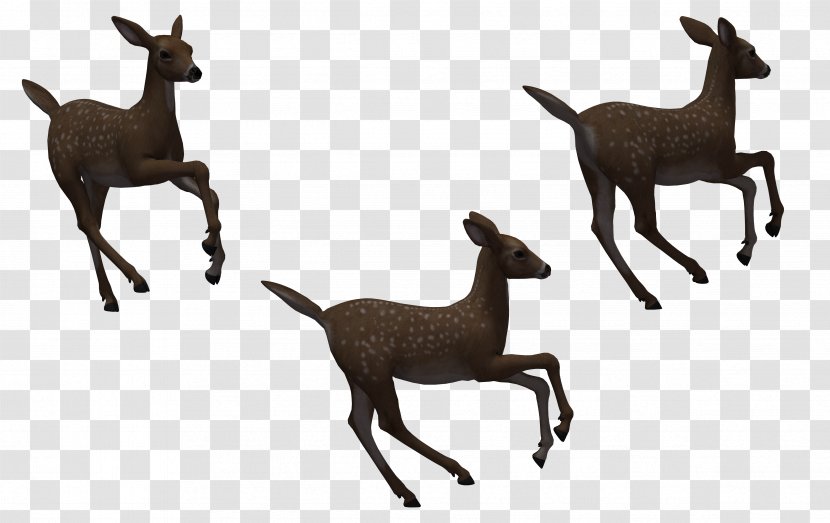 Deer Horse Silhouette - Hand-drawn Cartoon Pictures Transparent PNG