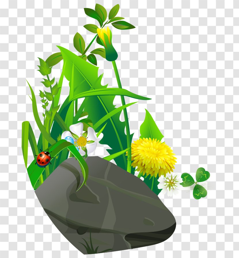 Cartoon Ladybird Drawing - Animation - Painted Stone Flowers Grass Transparent PNG
