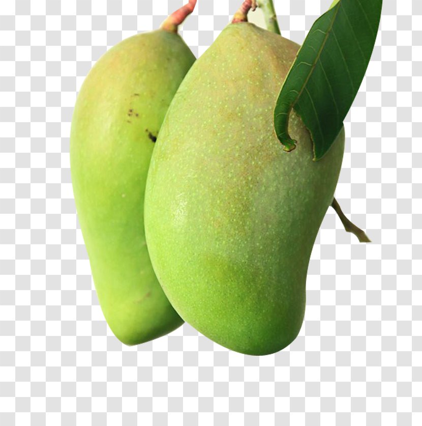 Smoothie Mango Fruit - Two Mangoes Transparent PNG