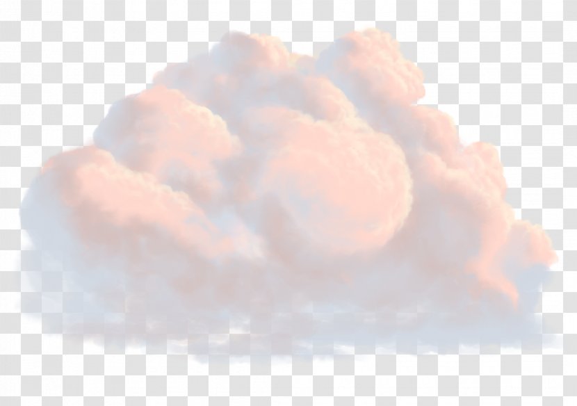 Cumulus Cloud Water - Flower Transparent PNG