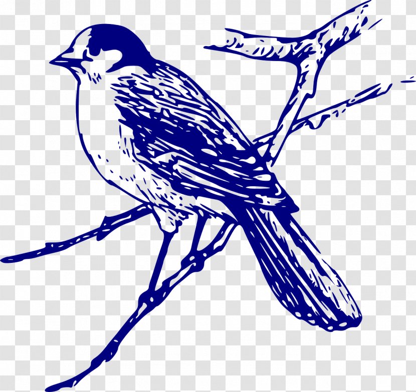Bird Clip Art - Tree Transparent PNG