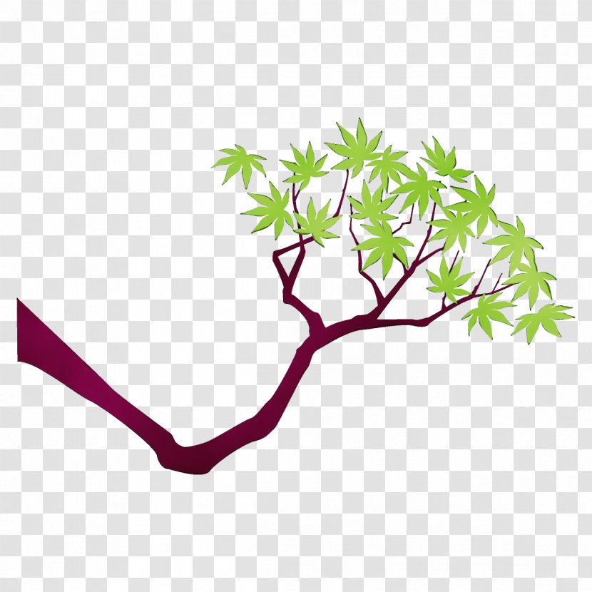 Branch Leaf Plant Tree Stem - Flower Transparent PNG