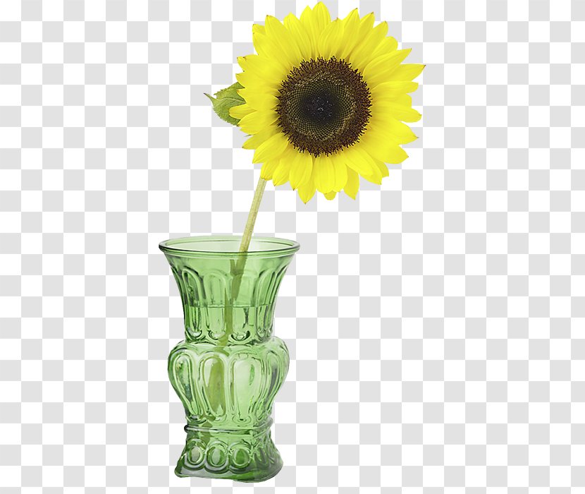 Common Sunflower Vase With Three Sunflowers Cut Flowers Perennial - Painting Transparent PNG