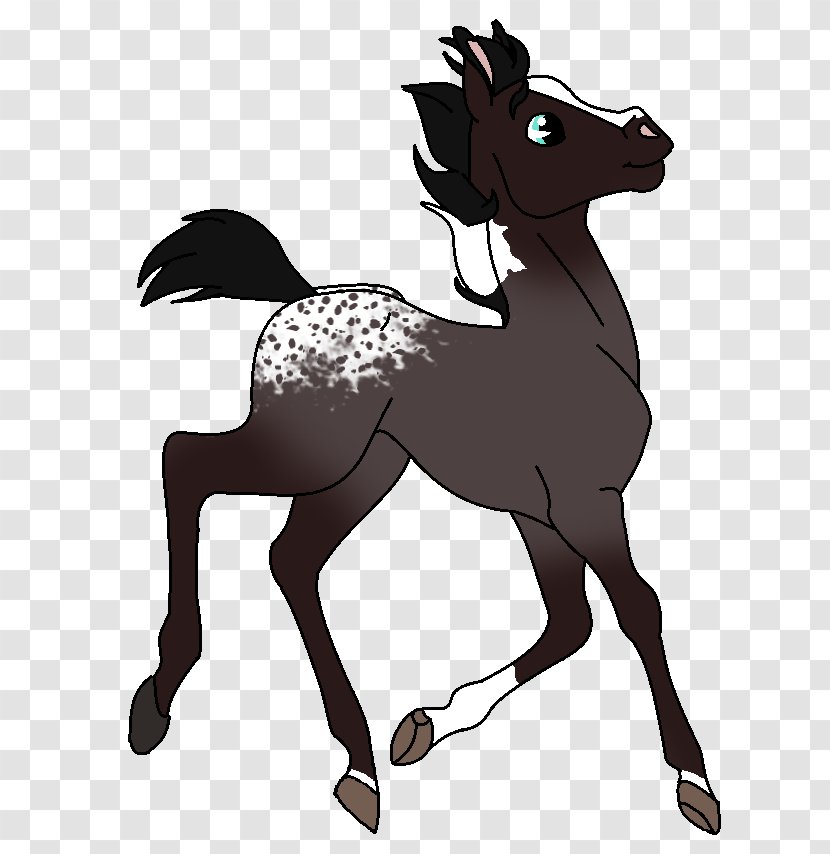 Pony Foal Colt Stallion Mustang - Plea Transparent PNG